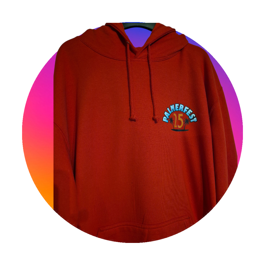 Kids PalmerFest Front & Rear Print Logo Hoodie - Various Colours Available - Image 4